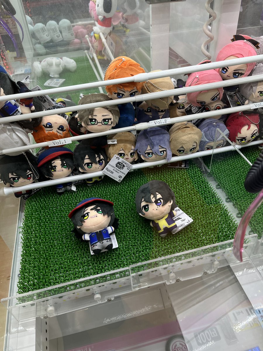 我が家のさぶちゃん、これが、こうで、こうじゃ！