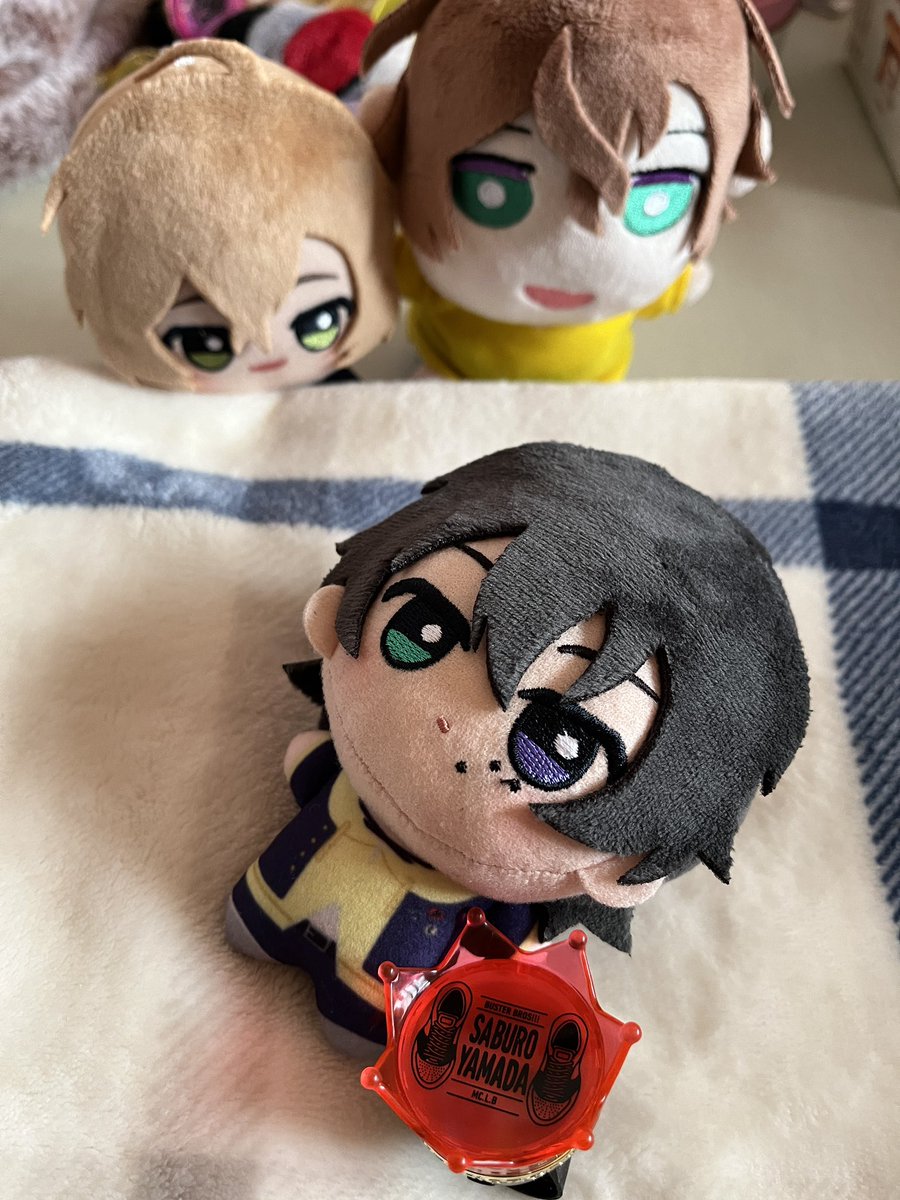 我が家のさぶちゃん、これが、こうで、こうじゃ！