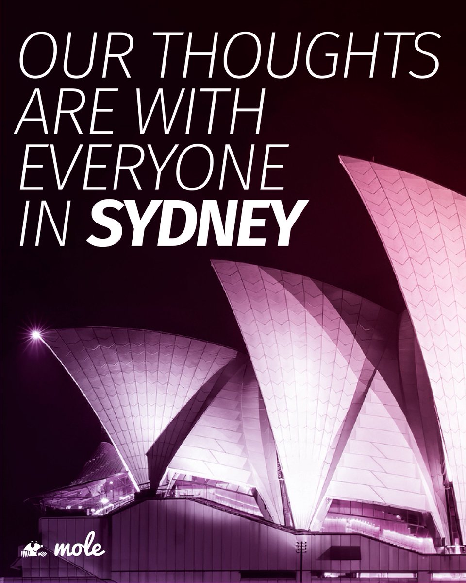 Mole Digital tweet media