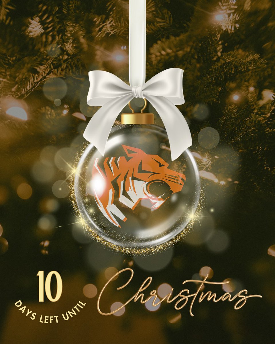 Skyline Education tweet media