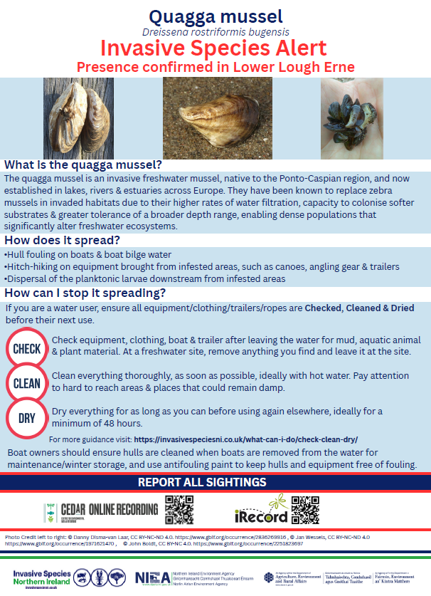 InvasivespeciesNI tweet media