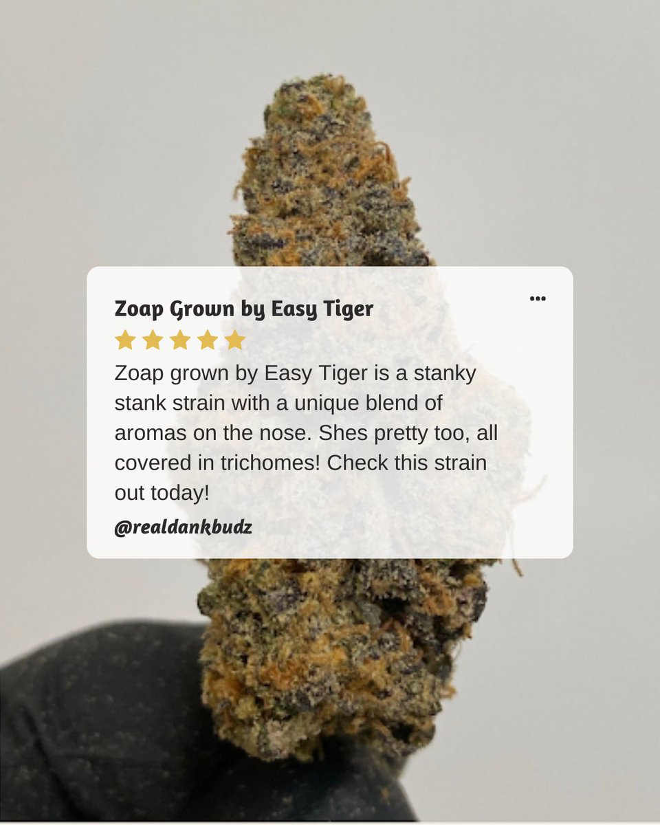 RealDankBudz's tweet photo. A little stank, a lot of beauty, and plenty of character. Zoap always shows up strong.

#DankBudz #StrainSpotlight #VibeCheck
•
Not for sale. 21+ only. Educational content. https://t.co/tFYNAkXvF7