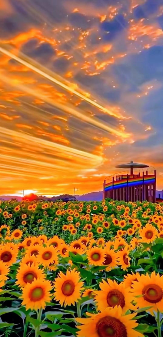 NancySn2965's tweet image. Buenos días para tod@s tengan un excelente inicio de semana bendiciones 🙏🌈🤗