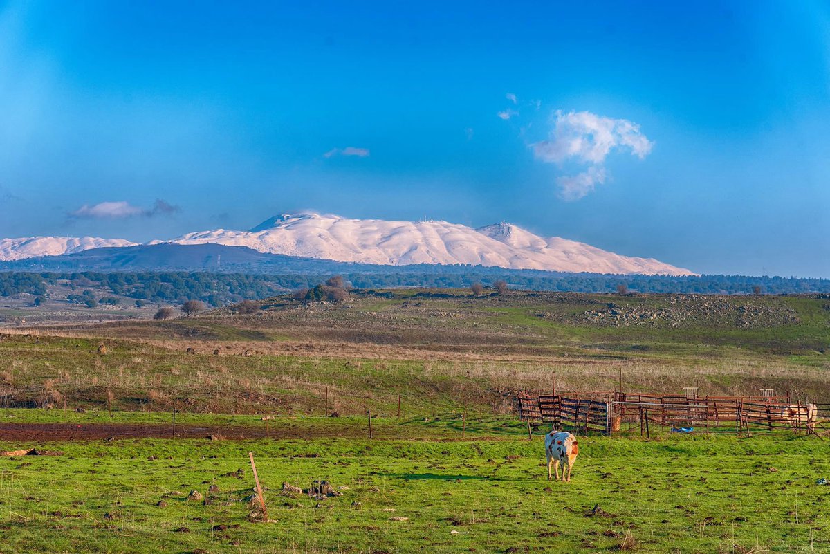 Golan, Syria.