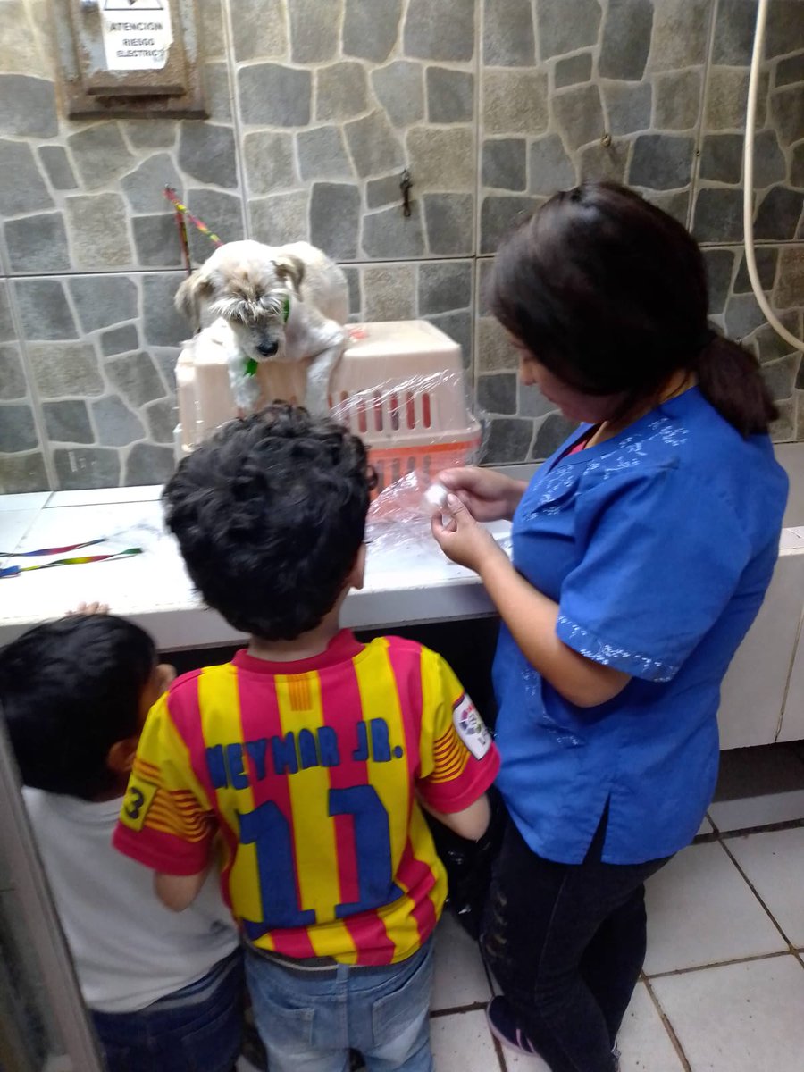 Alcaldía - \, image size:900x1200