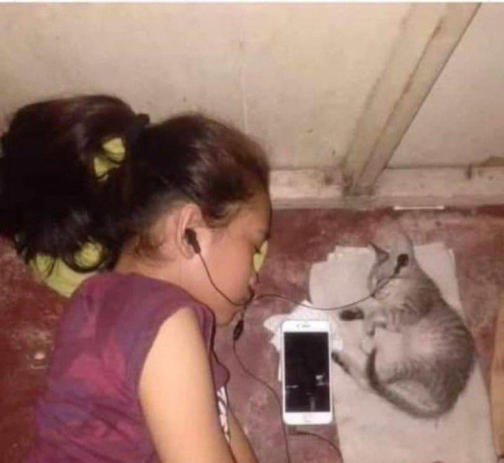 بسبوسة (@troom9troom9) on Twitter photo 