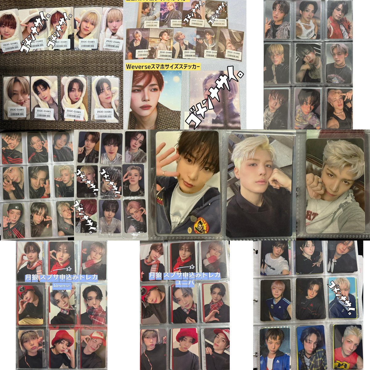 &TEAM Back to Life 封入特典 交換 【譲】写真のもの 【求】Back to