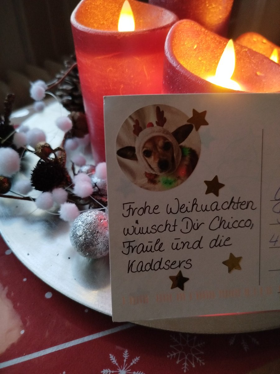Ich habe Post bekommen von <a href="/ChiccoMuc67/">Chicco (Hundskerli) & die Kaddser  🐶😽😺😸😻</a> 
Vielen Dank lieber Chicco für deine liebe Weihnachtspost, ich habe mich sehr darüber gefreut.❤️😘😘