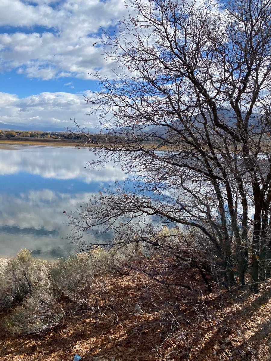 VIPCHIC's tweet image. 