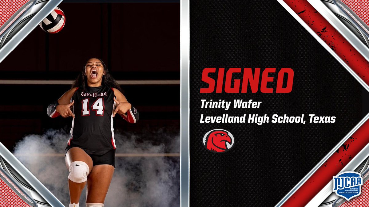 RedHawks_Volleyball tweet media