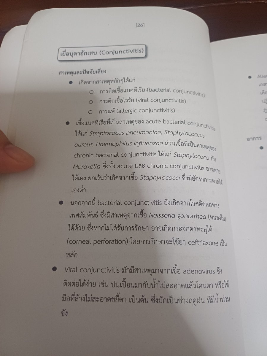 มากิ ทายาทแห่งความเคียดแค้น tweet media