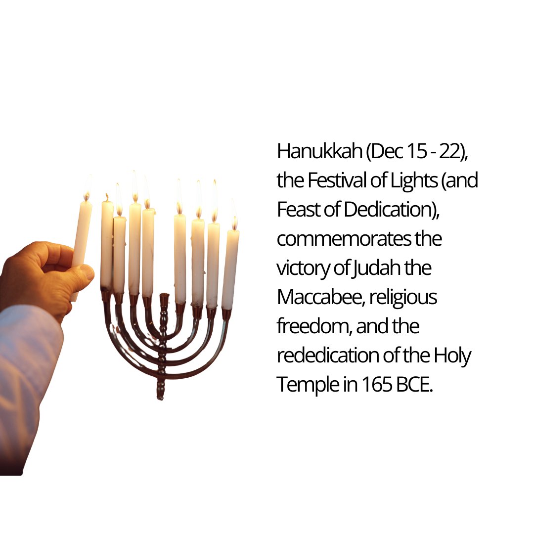 TDSB Community Services tweet media