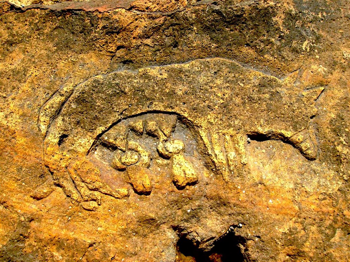 BALIKESİR-AYVALIK-LALƏ adasında bulunan Türk motivi

Bu qayaüstü təsvirdə Türk "Erkəngün" dastanında olduğu gibi, Börü (dişi qurt) çocukları emziriyor. Türk ulusundan son sağ qalan bu çocuqlar yenidən Türklər üçün el və xaqanlıqlar qururlar.

Çox üzücüdür ki, bu rəsm dağıdılıb...