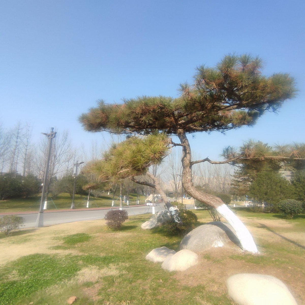 xiaojian970205's tweet photo. https://t.co/hjQxorGuJJ