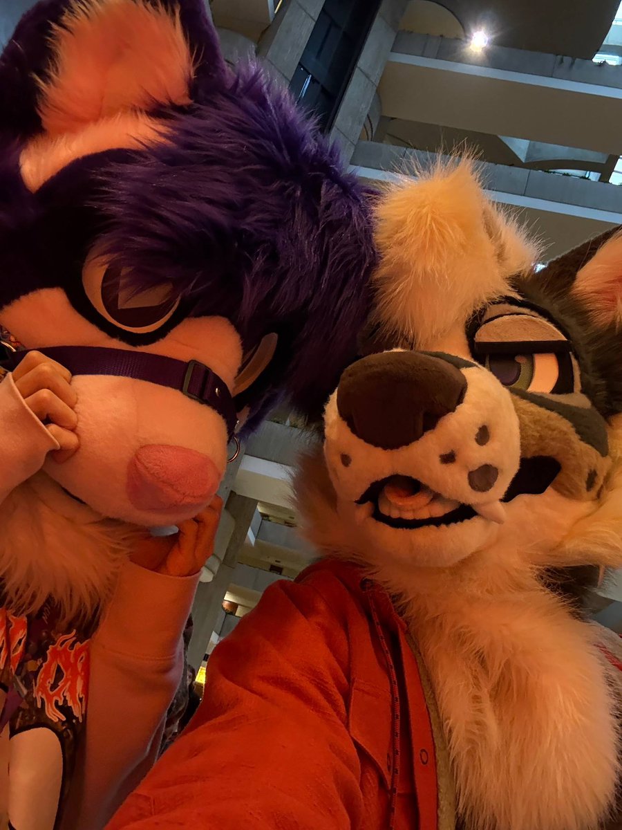 Two combined braincells between the two of us! 🦝 <a href="/AbraHeron/">Abra (Halite)</a>