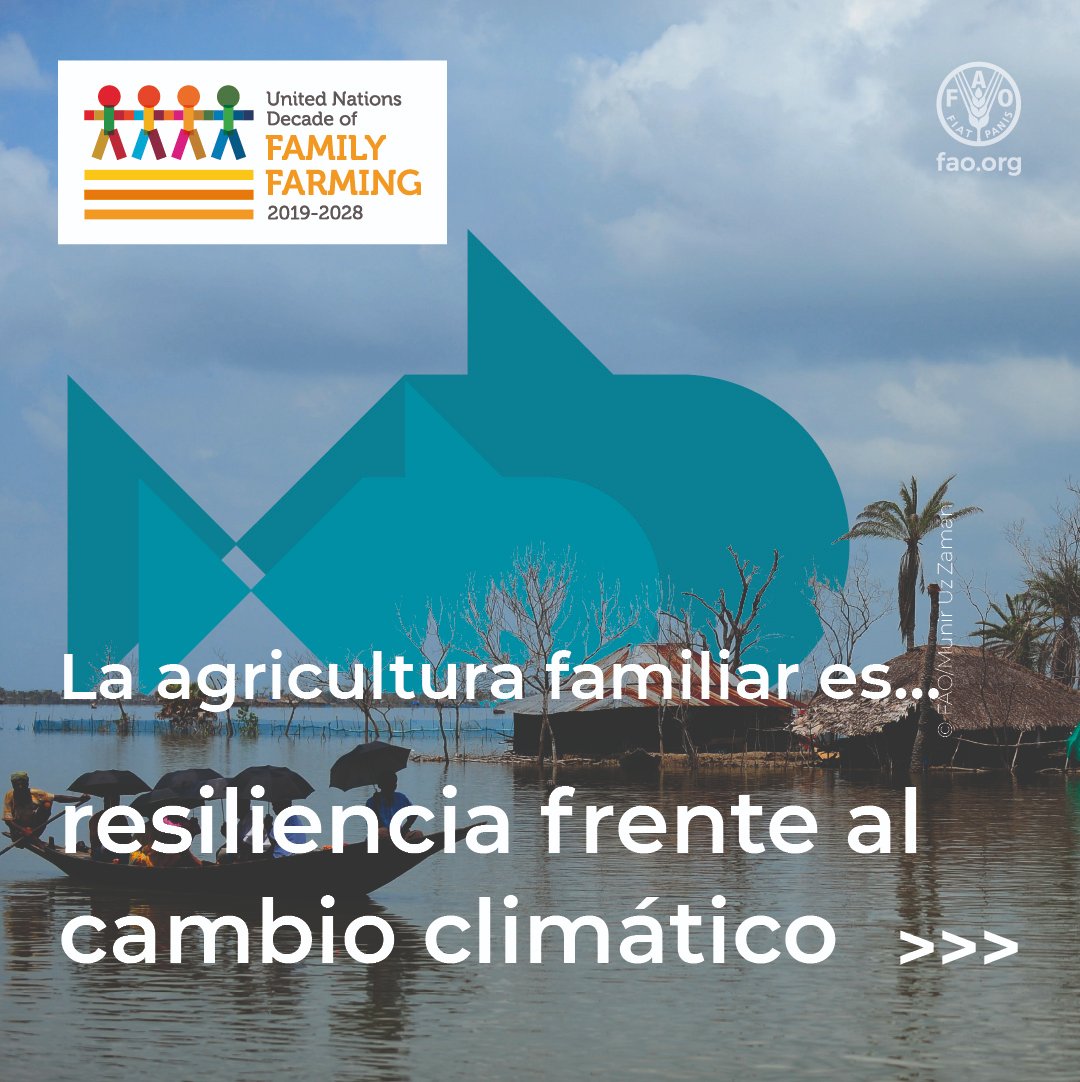 FAO Family Farming tweet media