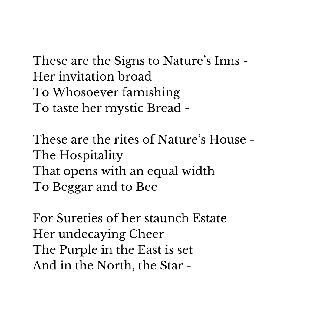 Emily Dickinson Perception and the Poet… Emily Dickinson of