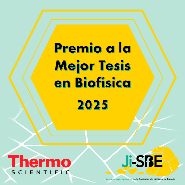 Jóvenes Investigadores SBE tweet media