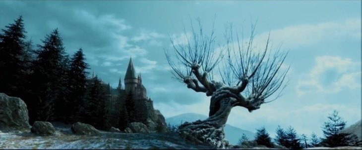 TheDailyHPotter's tweet photo. A Harry Potter winter ❄️ https://t.co/xtWnDeXbas