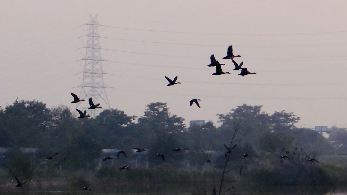 KKMtweet's tweet image. The essence of strategy lies in creating tomorrow’s competitive advantages faster than competitors mimic the ones you possess today.
 — Gary Hamel and CK Prahlad 
#Management #Notebook