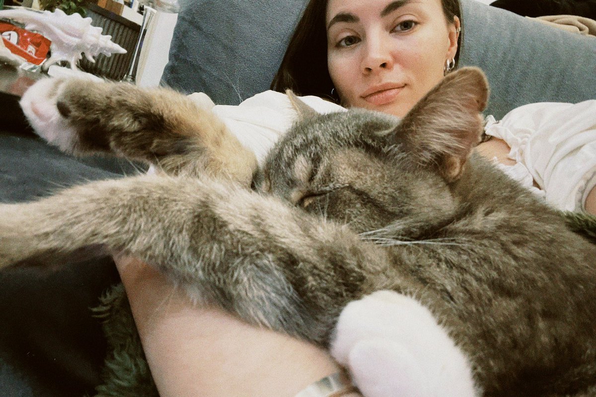 uaimhs's tweet photo. Из хорошего, кот у которого обнаружился ВИК, кажется передумал умирать и снова контактный, даже очень. Хоть один стресс отпал) https://t.co/7FebEQ1ndd