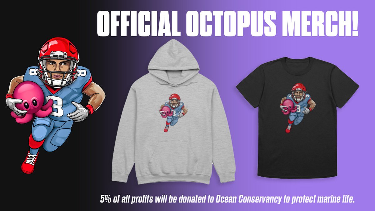 NFL Octopus Tracker 🐙🤖 tweet media