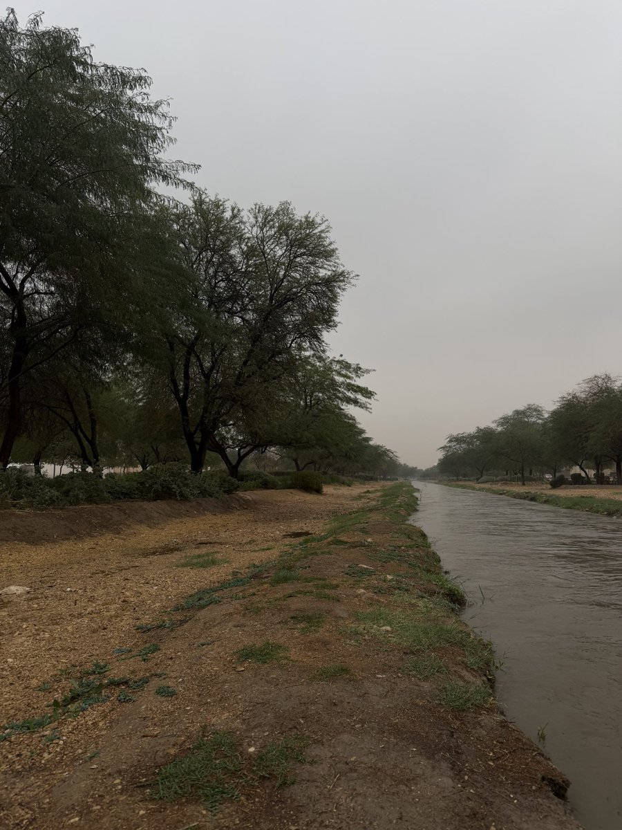 خالد tweet media