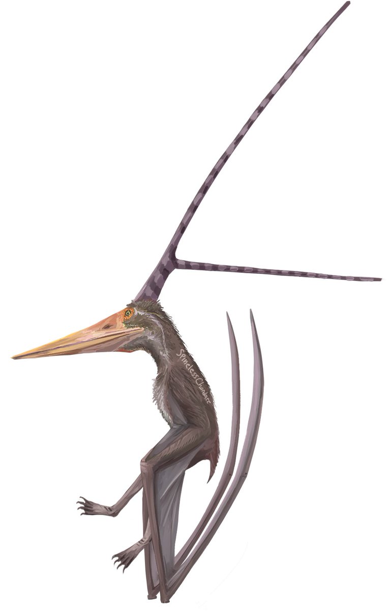 Quetzalcoatlus and Nyctosaurus for some reason. #paleoart
