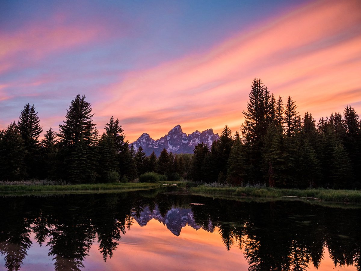 nev_in_color's tweet image. drifting into dusk.