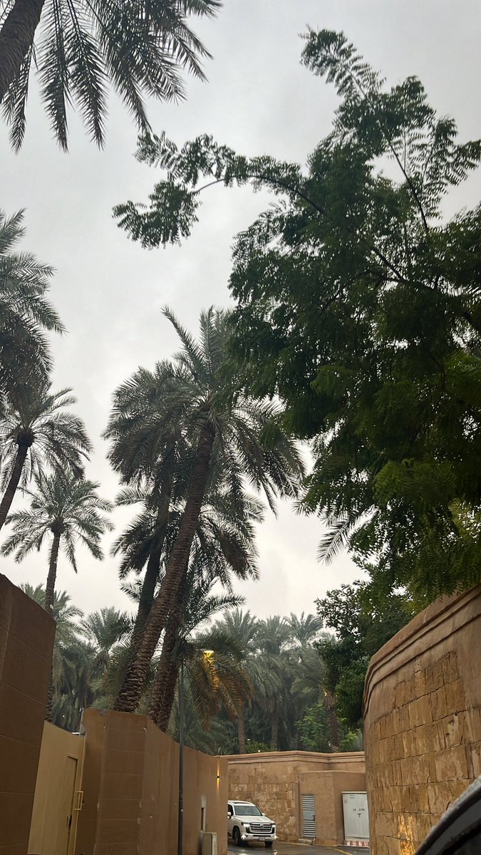 Bbb_ae9's tweet photo. "جيّات المطر رحبه
تفك بيبان الصدر باب باب". https://t.co/NeMB2ubuhn