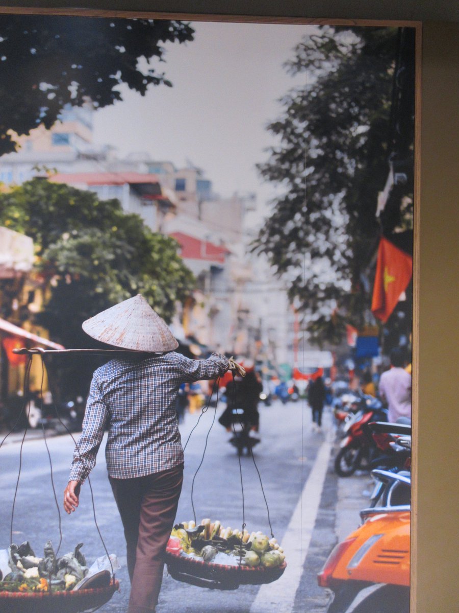 KajsaJAndersen's tweet image. MALL TOURISM 🧙

#strømmenmall #bambus #strømmen #asia #akershus #photography