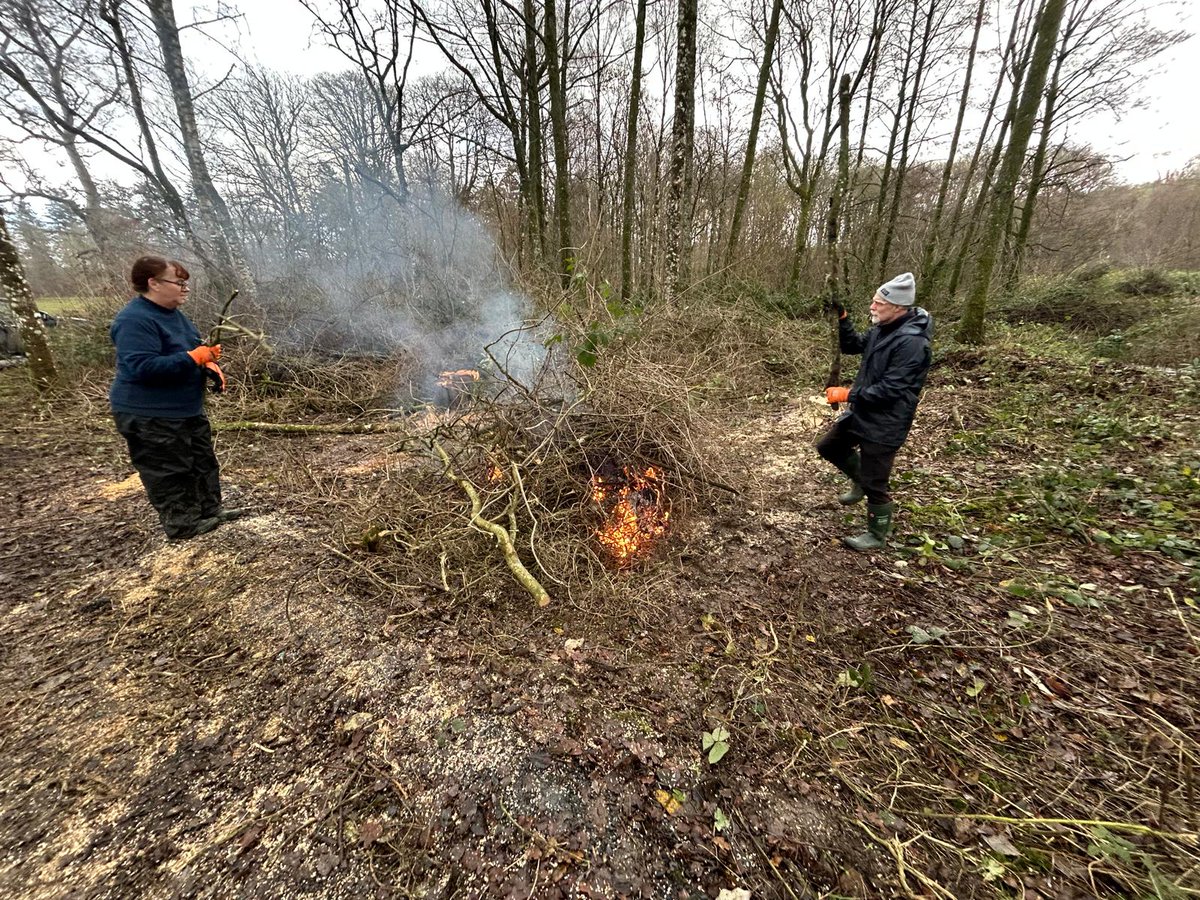 MontWildlife's tweet image. If you are interesting in volunteering at Gregynog on this amazing #NationalNatureReserve then contact lowri@montwt.co.uk for more details.📩

@WelshGovernment @HeritageFundUK
#NatureNetwork #RhwydweithiauNatur

📷Jan Williams