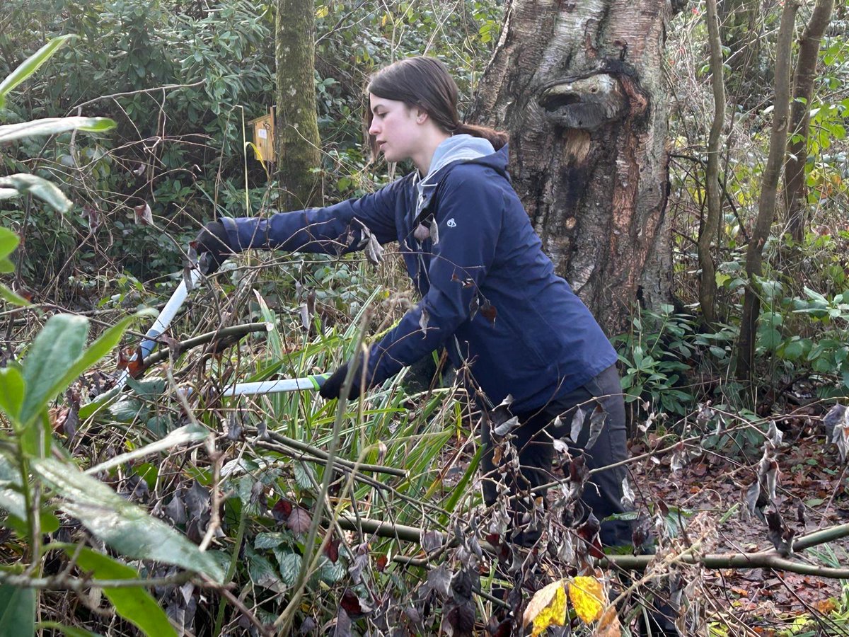 MontWildlife's tweet image. If you are interesting in volunteering at Gregynog on this amazing #NationalNatureReserve then contact lowri@montwt.co.uk for more details.📩

@WelshGovernment @HeritageFundUK
#NatureNetwork #RhwydweithiauNatur

📷Jan Williams