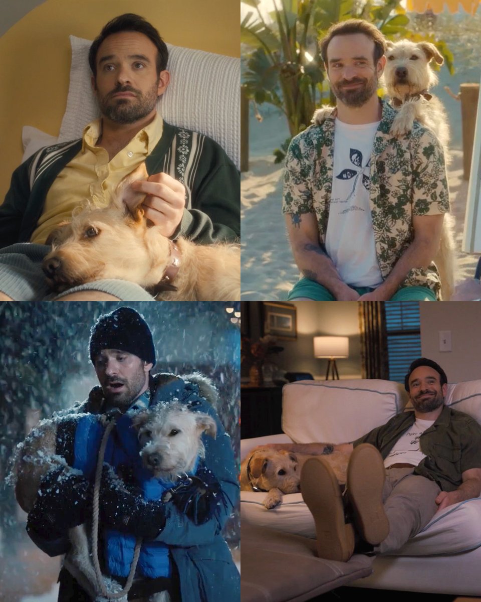 Charlie Cox in his dog-dad era? say less 🐾 #Merv