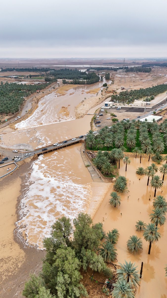 📸|🟠
#المجمعة عروس المطر 🤩
مطرنا بفضل الله ورحمته 🧡