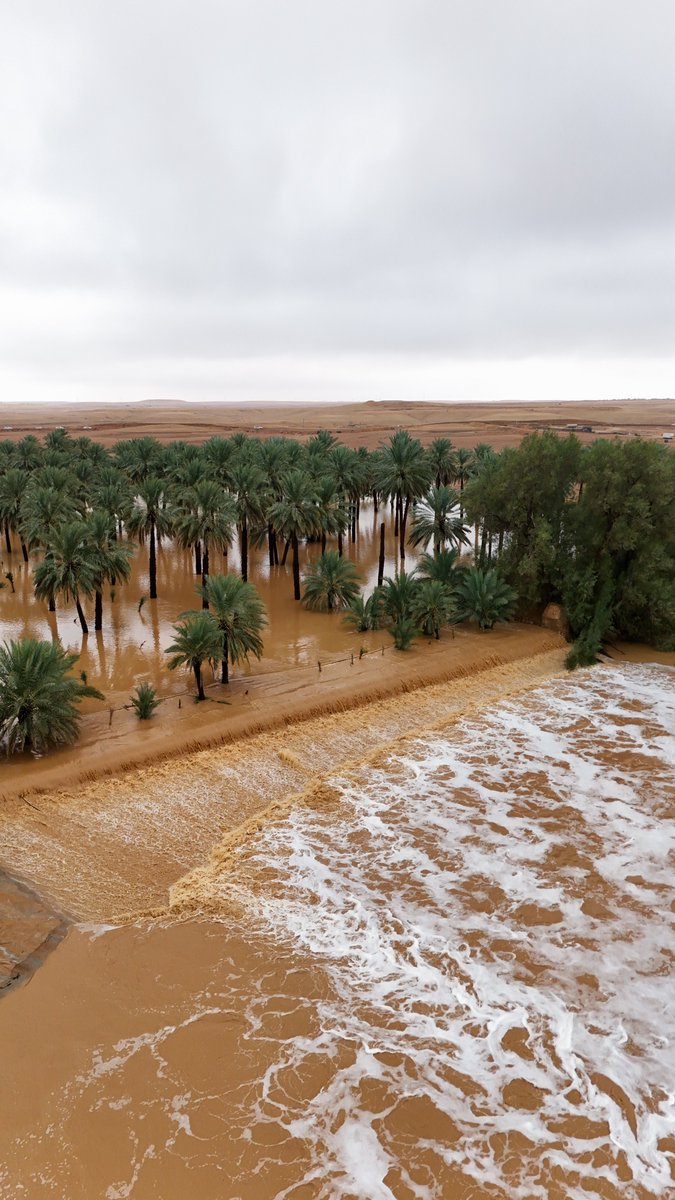 AlfayhaSC's tweet image. 📸|🟠
#المجمعة عروس المطر 🤩
مطرنا بفضل الله ورحمته 🧡