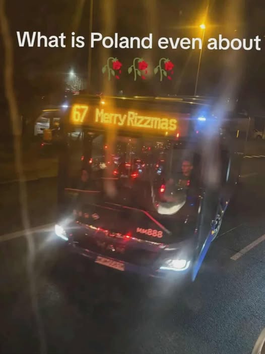 OrwellNGoode's tweet image. 