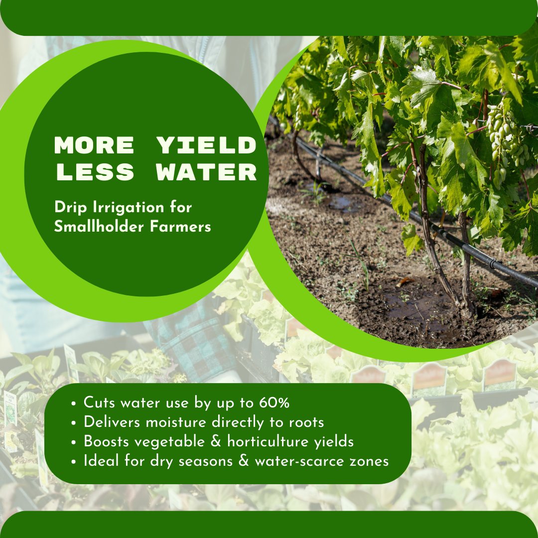 SAIC Rwanda tweet media