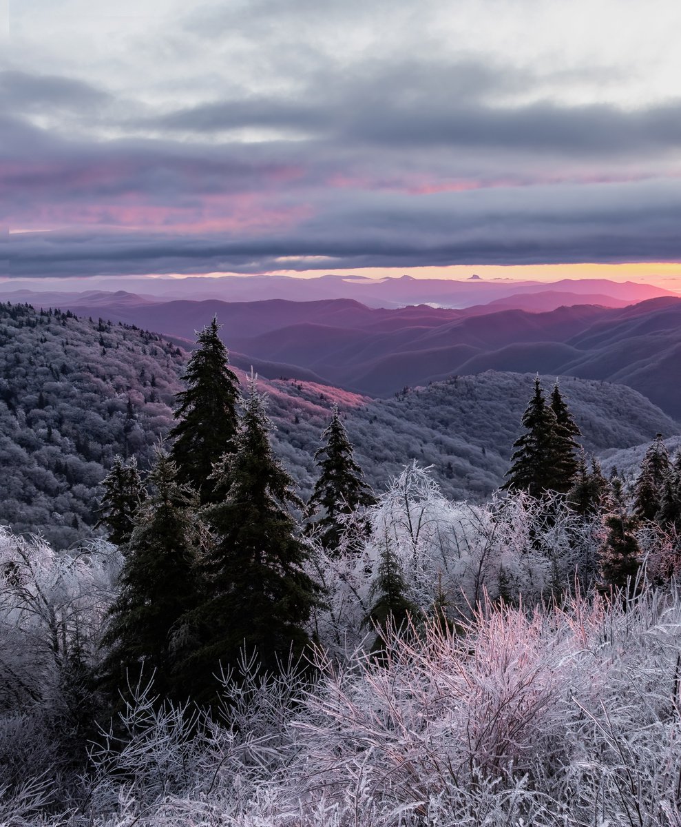 National Forest Fdn. tweet media