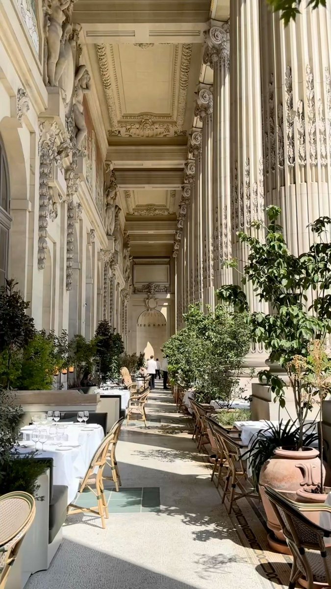 Make Aesthetics Great Again