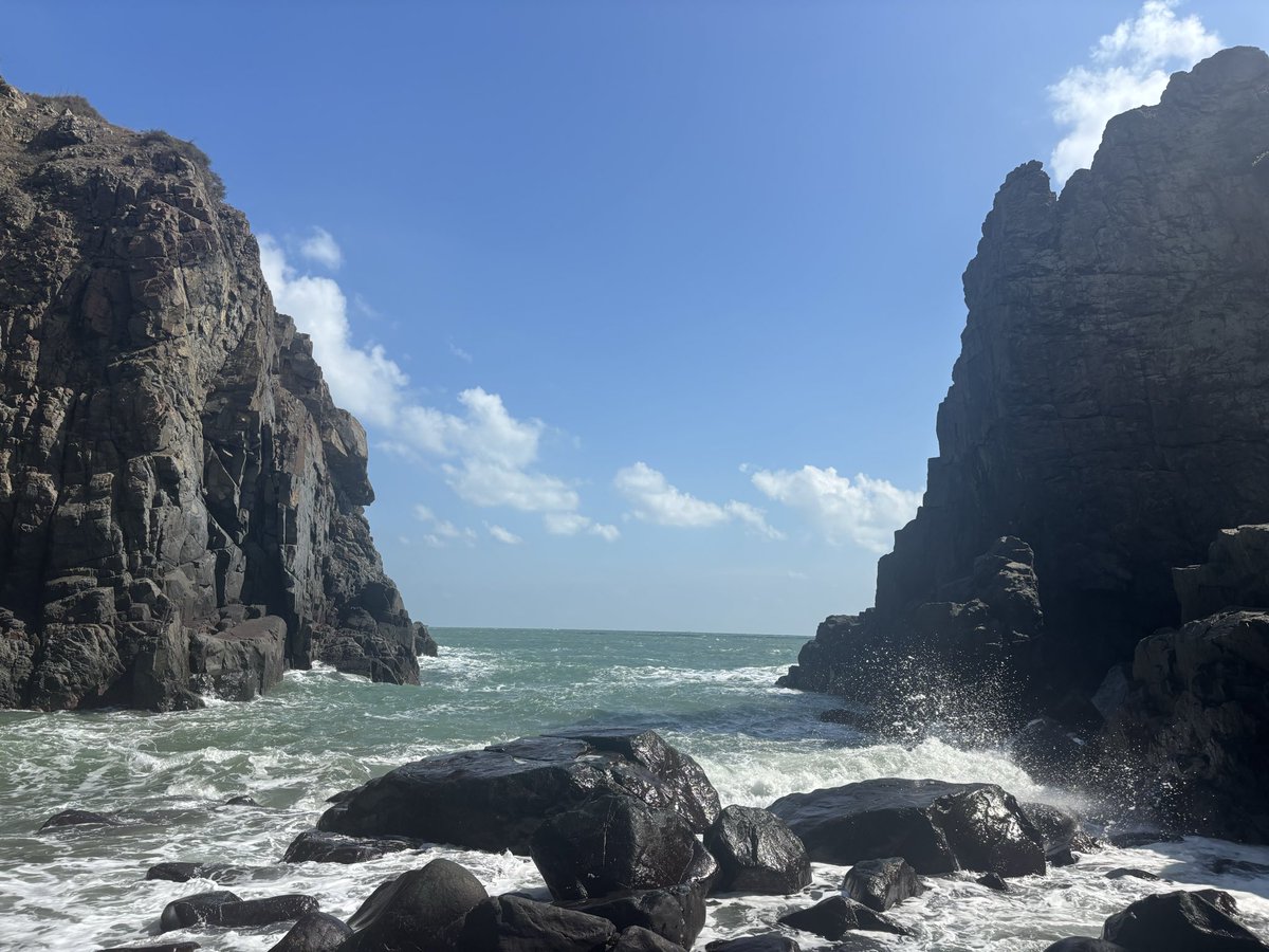 筹码🕊️ tweet media