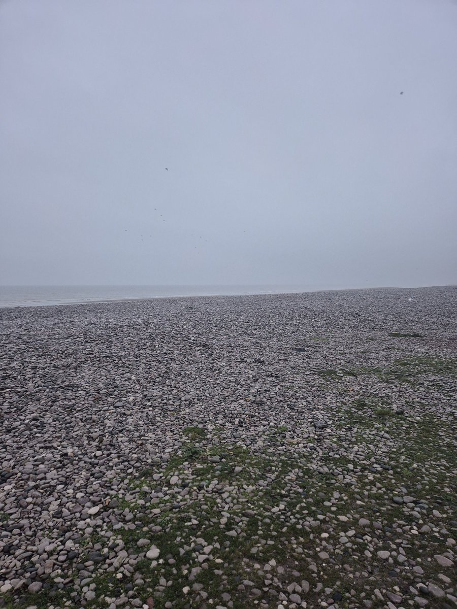 It's a grey day  in North Wales.🌧☔️☔️