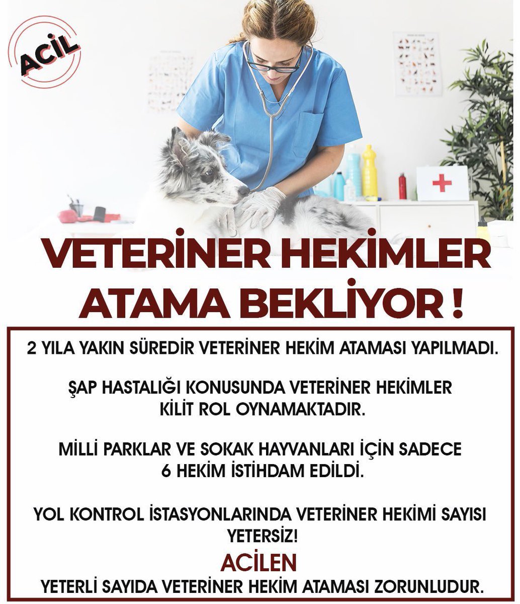 Veteriner Hekimler olarak yıllardır atama bekliyoruz.
Hayvan sağlığı → Halk sağlığı → Gıda güvenliği zincirinin güçlenmesi için istihdam şarttır. #BütçedeVetHekimeAtama
<a href="/ibrahimyumakli/">İbrahim Yumaklı</a> <a href="/TmrOsmanagaoglu/">Tamer Osmanağaoğlu</a>