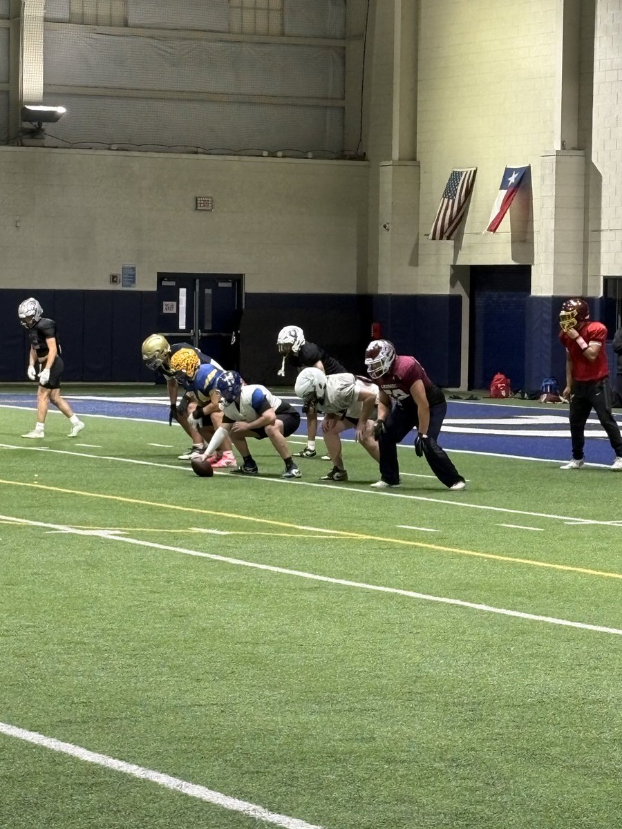 Tyler Gjerde tweet media