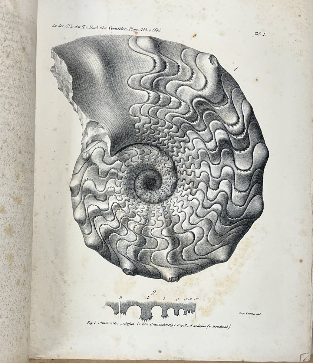 UT Geology Library (CLOSED) tweet media