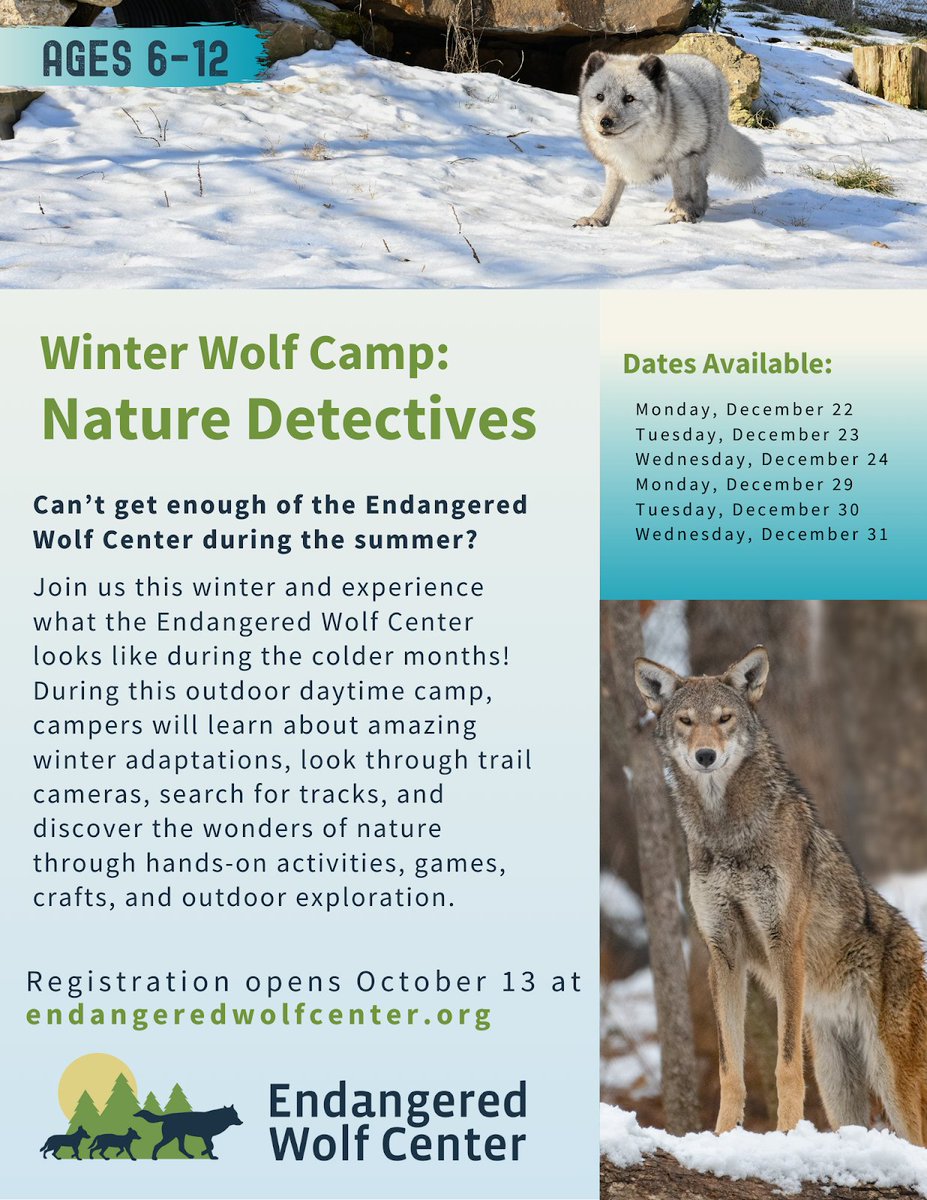 EndangeredWolfCenter tweet media