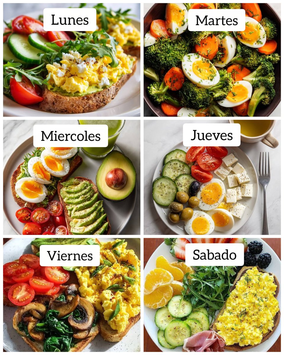 Comidas saludables 

LUNES
-Pan tostado
-Aguacate 
-Huevo
-Verduras

MARTES
-Brocoli
-huevo duro

MIERCOLES
-Aguacate
-Licuado verde
-Huevo
-Pan tostado

JUEVES
-Huevo
-Aceitunas
-Queso

VIERNES
-Pan tostado 
-Champiñon
-Huevo

SABADO
-Pan tostado
-Huevo
-Aguacate
-Verduras