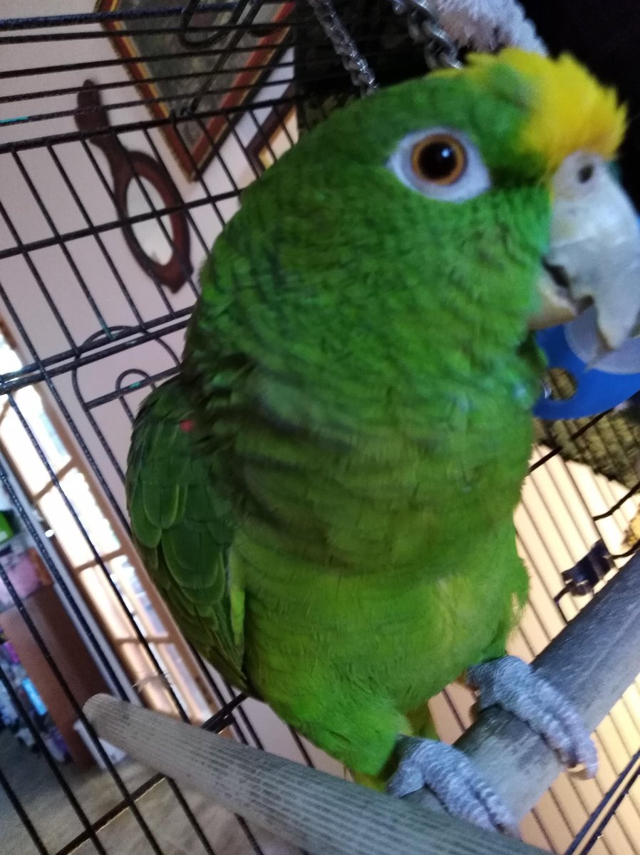 Berta Chan tweet media