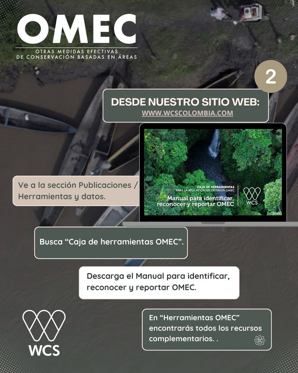 📢 ¡Disponible! Caja de herramientas para la aplicación de los criterios #OMEC 
👉 tinyurl.com/bdhxvyuf

💪Una guía práctica para entender qué son las #OMEC y acompañar cada etapa del proceso.
¿Cómo acceder? 👇