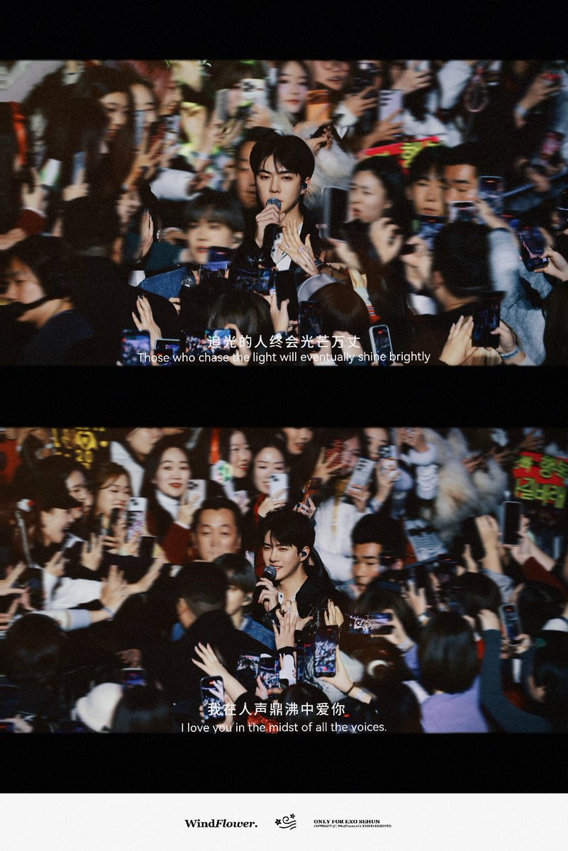 WindFlower tweet media